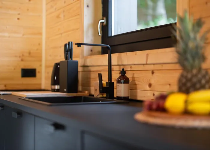 Black Lokve Chalet Homer