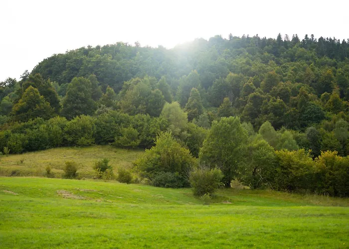 Chalet Black Lokve *